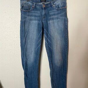 Classic Blue Denim Jeans